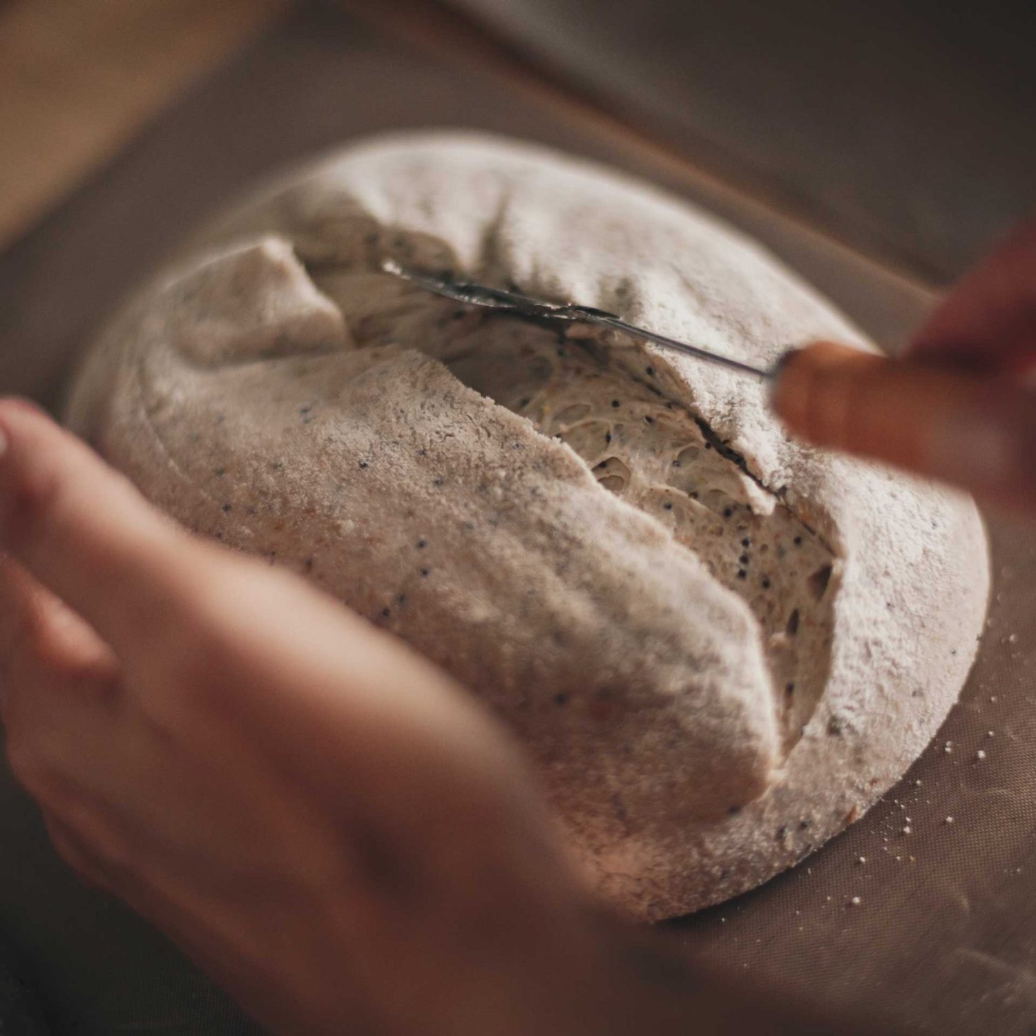 minha-pequena-boulangerie-08
